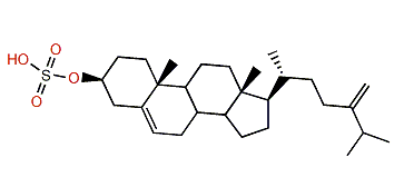 24-Methylenecholest-5-en-3b-ol 3-sulfate